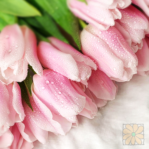 »óǰ ¼¶³×ÀÏ »óǰ ¼¶³×ÀÏ