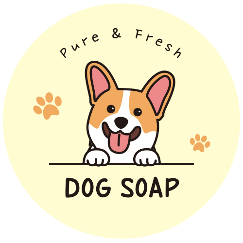 »óǰ ¼¶³×ÀÏ »óǰ ¼¶³×ÀÏ